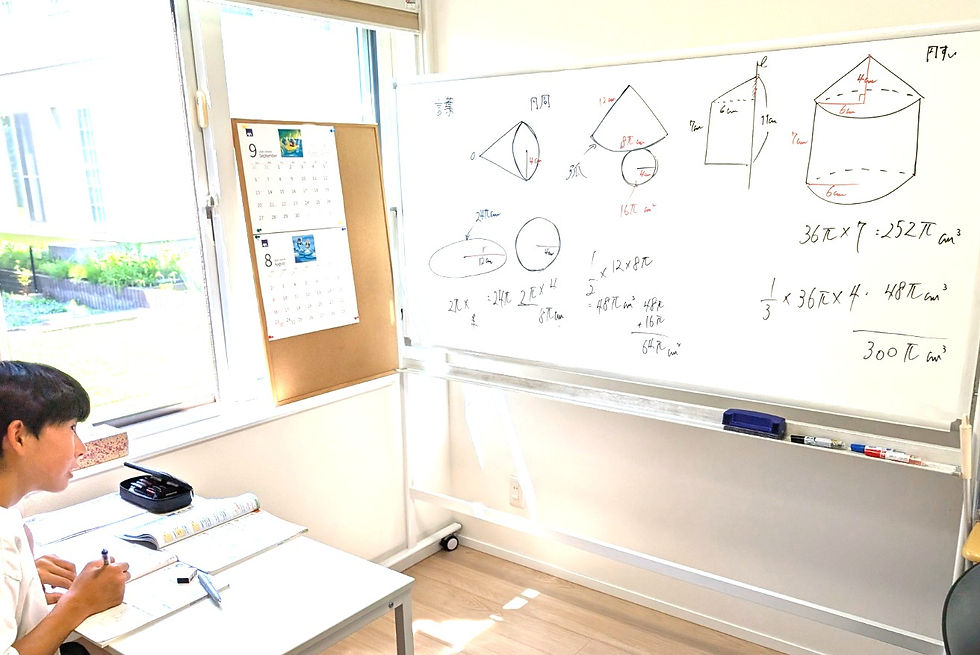 たむかい学習教室 個別指導 塾 数学 八戸市 中学生 高校生