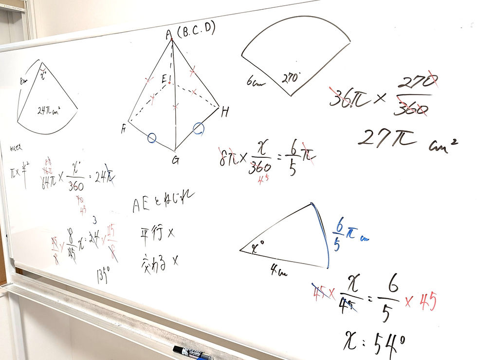 たむかい学習教室 個別指導 塾 数学 八戸市 中学生 高校生