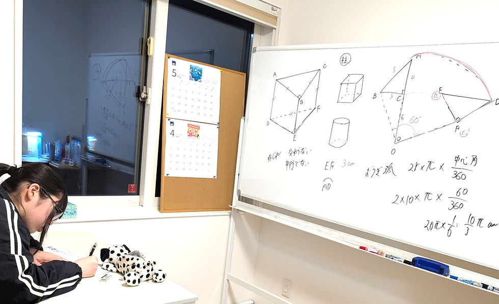 たむかい学習教室 個別指導 塾 数学 八戸市 中学生 高校生