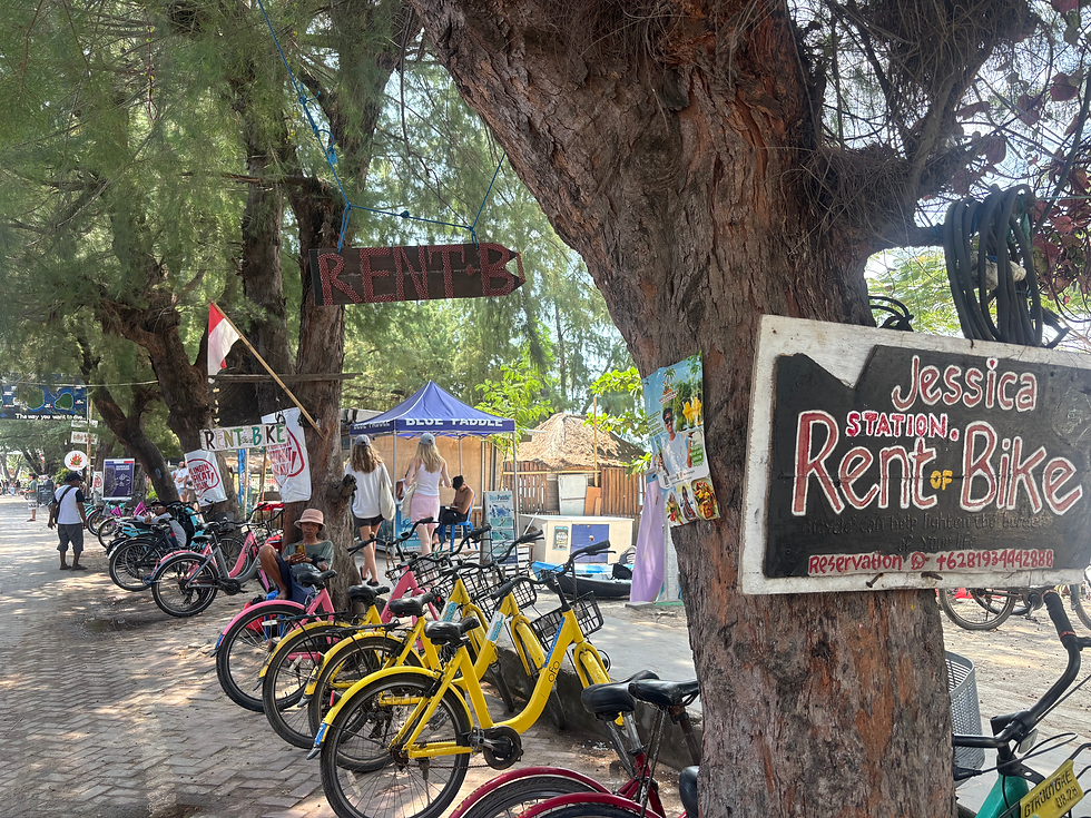 Bicycles as a means of transport in the Gili Islands
