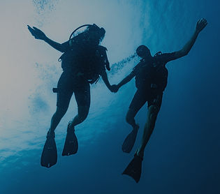 Divers exploring the ocean in Koh Tao Thailand