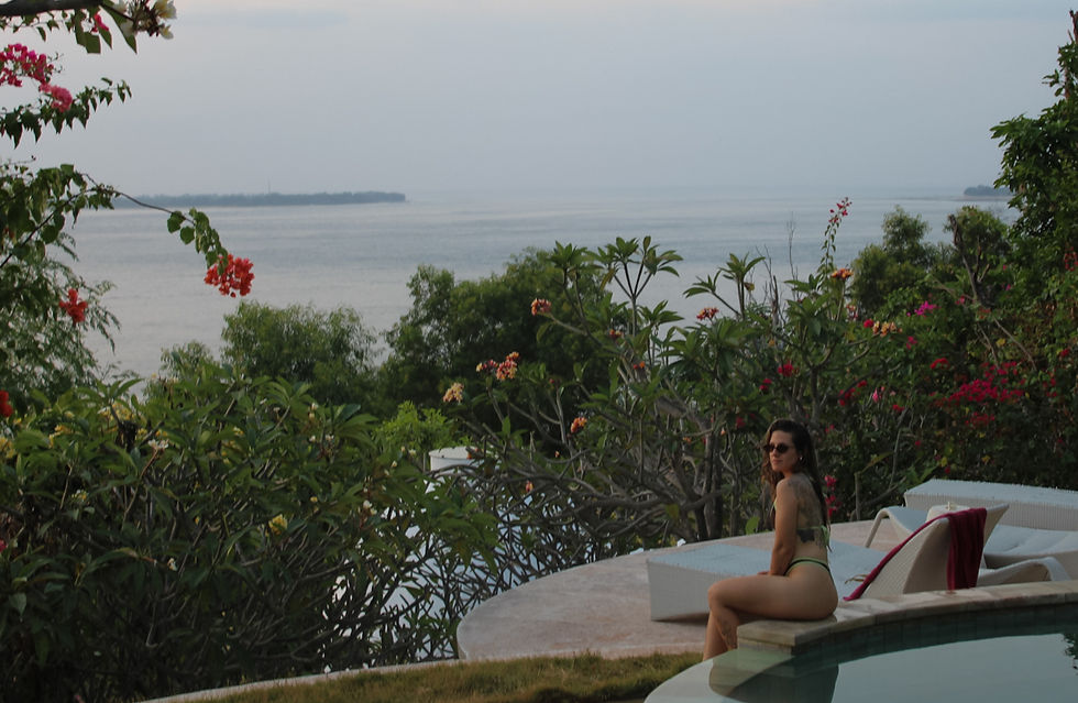 Villa Cocodome in north Lombok, romantic bungalows with pool and nature views