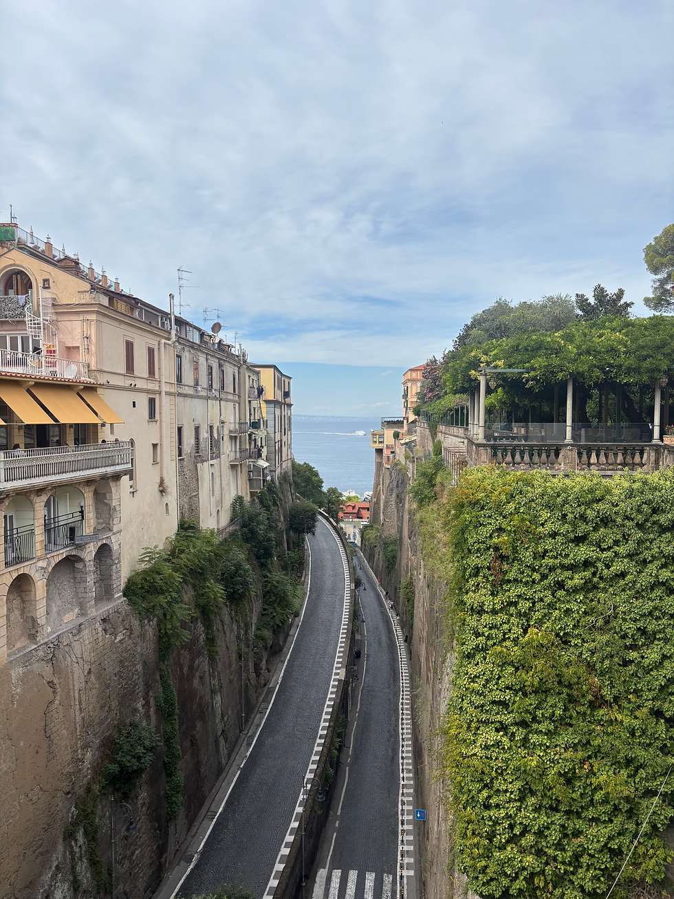 View of Sorrento from the sea