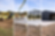EE868C89-E365-4028-A472-0420125C3894.PNG