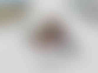 rakoon book cover mockup 1