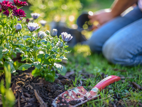 How Chiropractic Care Can Help With Pain From Yard Work