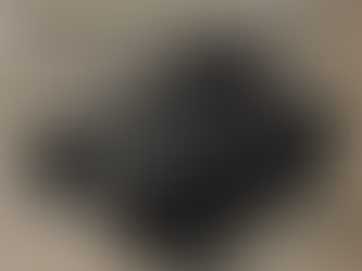 Tier 0 Armor: German 38(t)