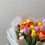 Thumbnail: Tulips Grandeur