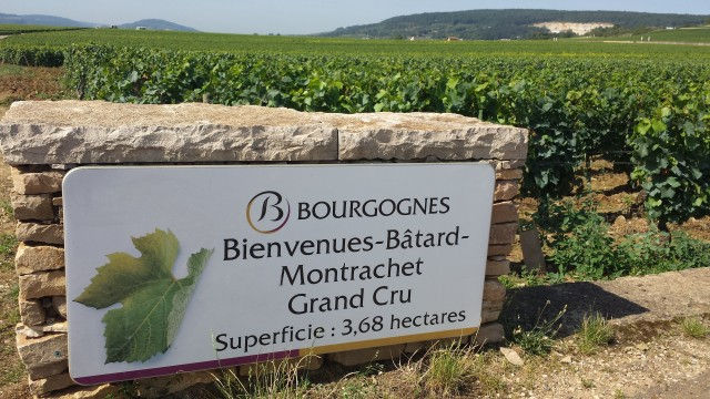 Bourgogne_A Viagem Certa_BEMinParis