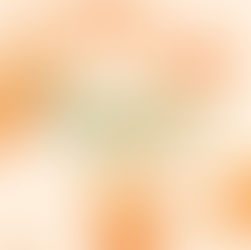 All Roads Lead to SLO Brew Rock: Understanding High Pulp’s DIY Spirit