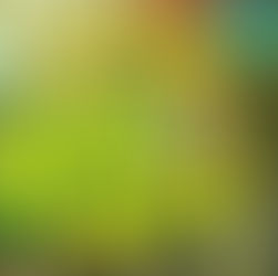 Cataloging The Gizzverse: King Gizzard & The Lizard Wizard’s discography, ranked from wors