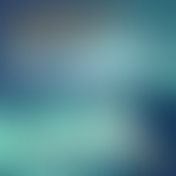 A Journey Shared: NoMBe’s new EP “NOAH” from Lily’s Point of View