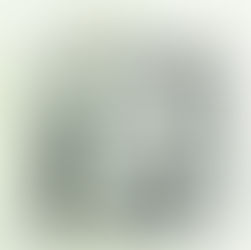 Interview: your relative’s Dinner Party will Make you Sappy and Sentimental