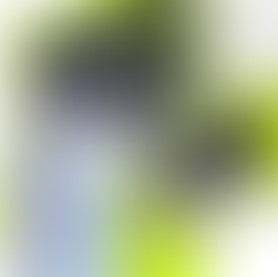 What's .WAV Listening To? - Jan 2026 