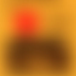 A Farewell to Desert Daze