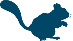 PF_animal_12.png
