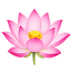 ChatGPT Image Jun 22, 2026, 07_12_04 PM.png
