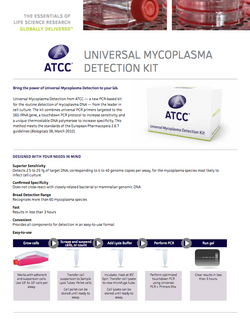 mycoplasma detection kit