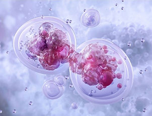 Elabscience - Hücresel Yaşlanma_edited.jpg