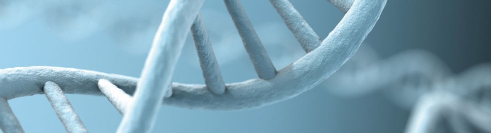 dna_LS.0.jpeg