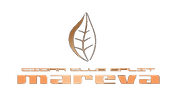 Mareva logog gold 2.png