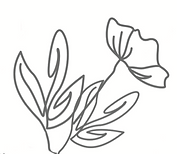 Screen Shot 2024-12-21 at 12.06.18 pm.png