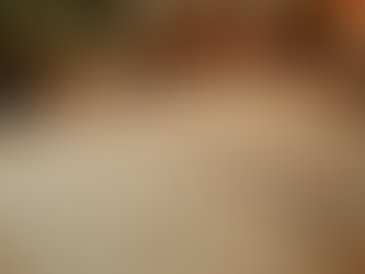 Unwrap 50% OFF Family Tree Maker This Christmas Season