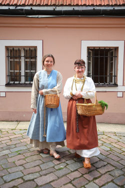 История двора в костюмах