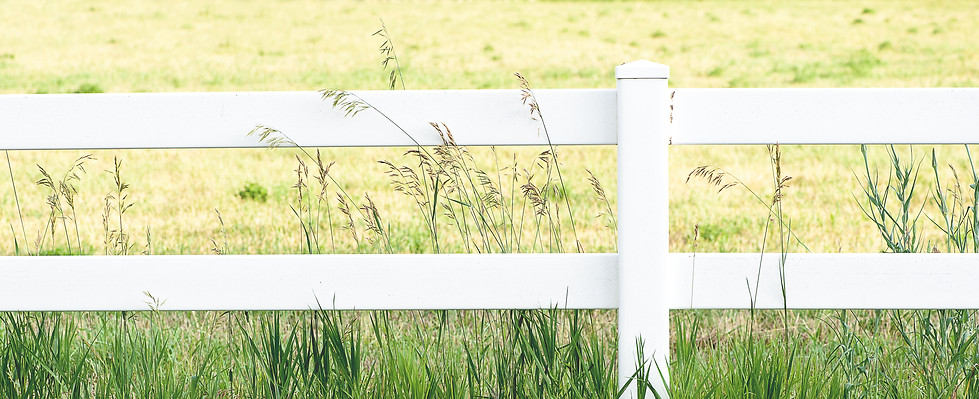 White Fence