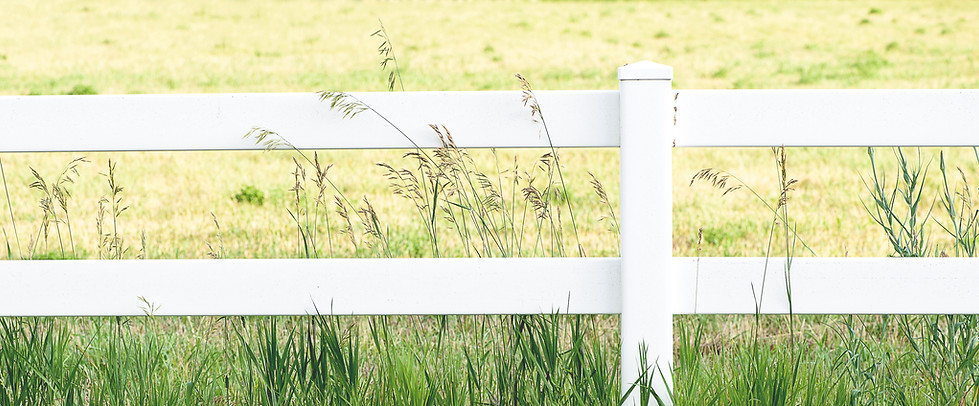 White Fence