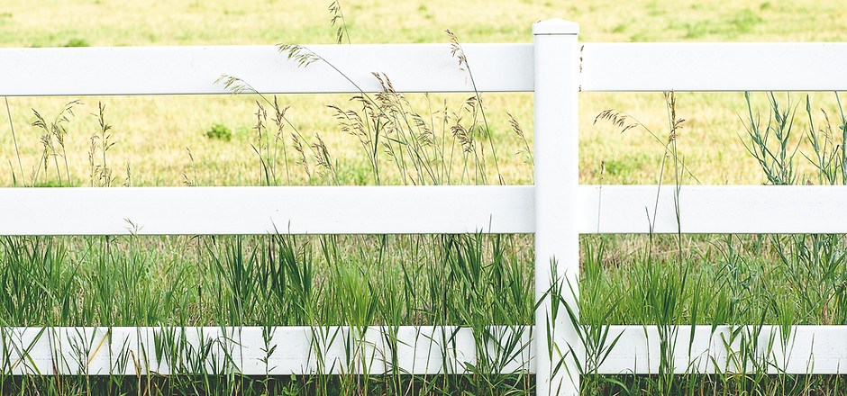 White Fence