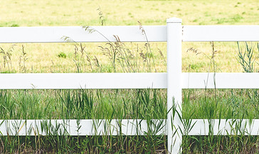 White Picket Fence