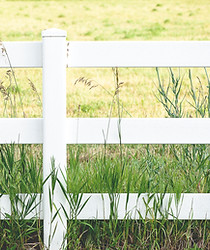 White Fence