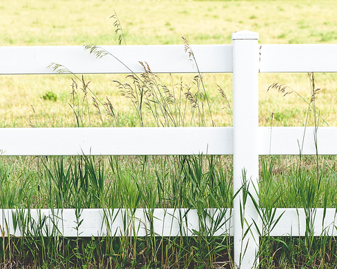 White Fence