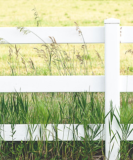 White Fence