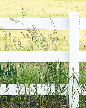 White Picket Fence