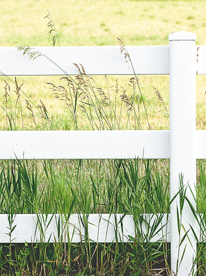 White Fence