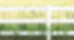White Fence