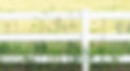 White Fence