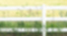 White Fence