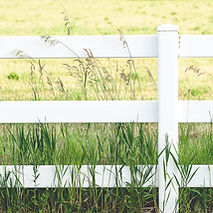 White Fence