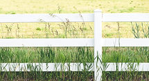 White Fence