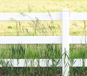 White Fence