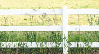 Trespass issues