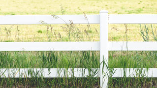 Trespass issues