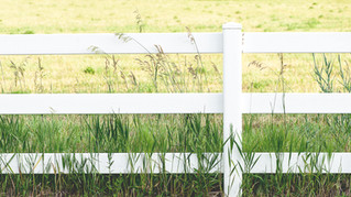 Trespass issues