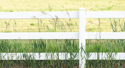 White Fence
