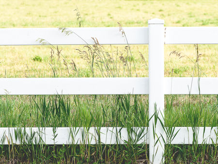 Fencing Basics