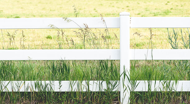 White Picket Fence