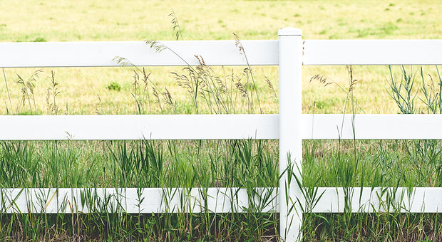 White Fence